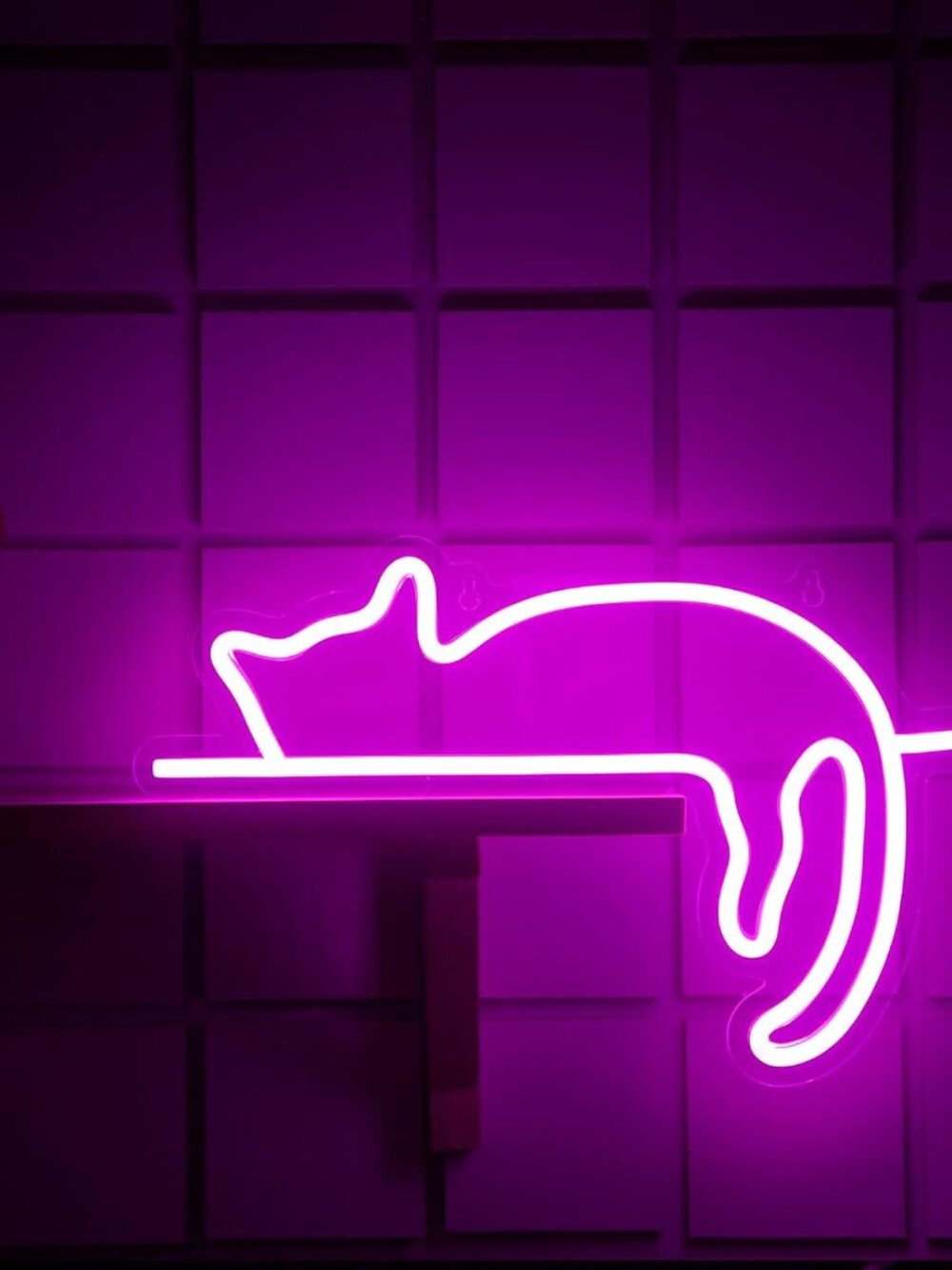 Cat Neon Signs LED Neon Light Sign Lights Decor Animal USB Operated Decorative f